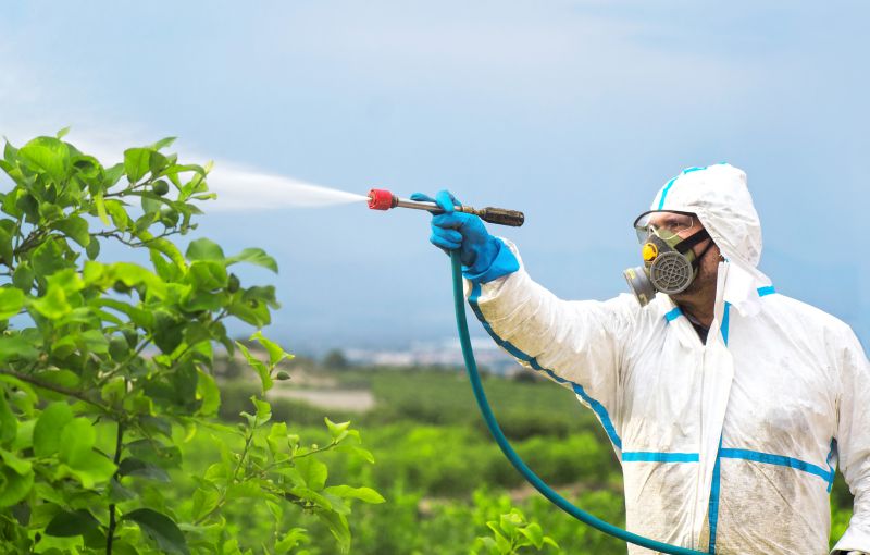 Commercial Fumigation in Cumming, GA