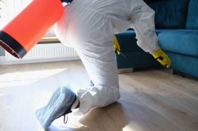 Residential Fumigation in Fort Myers, FL