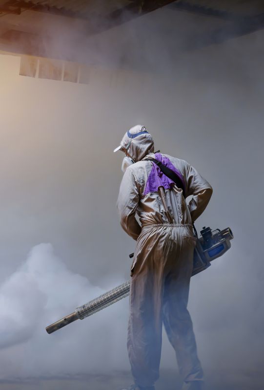 Spider Fumigation Service in Toledo, OH